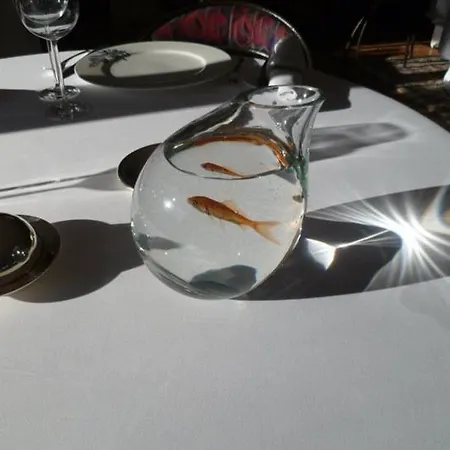 Le Senechal 4* Sauveterre-de-Rouergue